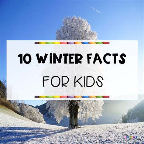 10 Fun Facts About Winter Little Learning Corner