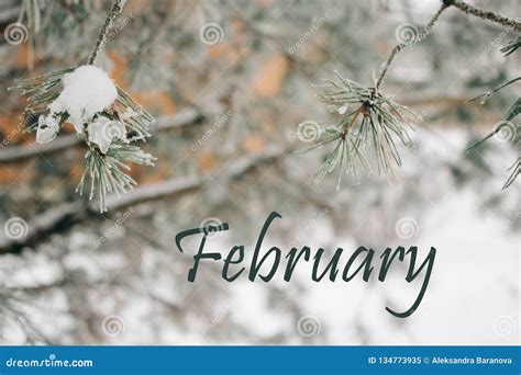 February Text With Natural Texture Of A Winter Background Snow Covered