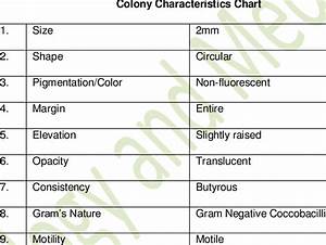 Colony Characteristics Chart Download Table
