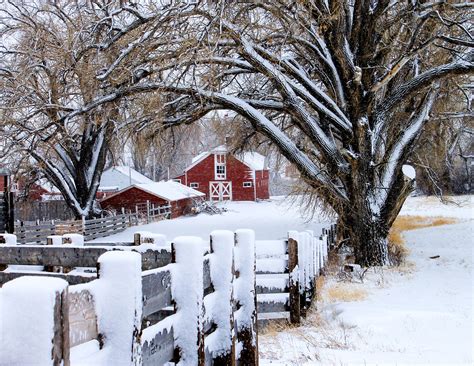 Western Homestead Your Winter Checklist Candi Magazine