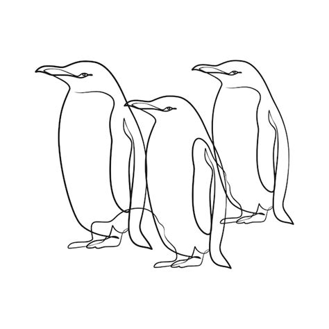 Pinguim desenho de arte contínua de uma linha Vetor Premium