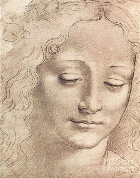 Leonardo Da Vinci Head Of A Woman Sketch Drawing By Paper Moon Fine Art