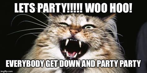 Let S Party Funny Meme Unique Birthday Party Ideas And
