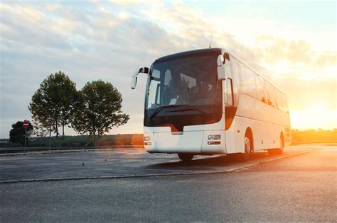 5 Fun Benefits Of Going On Charter Bus Tours View The Vibe Toronto