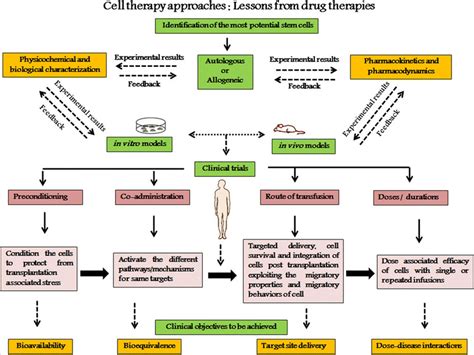 Schematic Outline Of Functional Therapeutic Approaches For Stem Cell