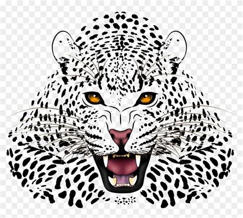 Jaguar Face Vector at Vectorified.com | Collection of Jaguar Face
