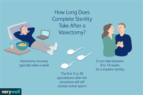 Vasectomy Recovery