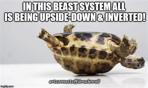 Image Tagged In Turtle Up Side Down Imgflip