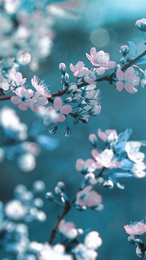 Spring Aesthetic Wallpaper Cute Spring Background For