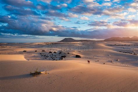 Sand Dunes In Las Dunas De Corralejo Corralejo Natural Park Dramatic