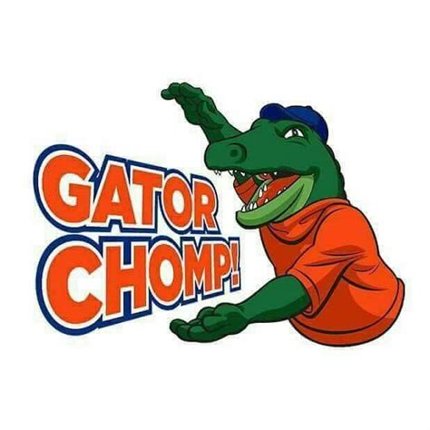 3987 Best Gator Nation Images On Pinterest Florida Gators Fan Gear