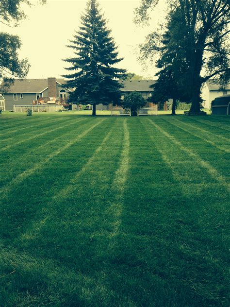 Portfolio Grand Rapids Reliable Lawn Service