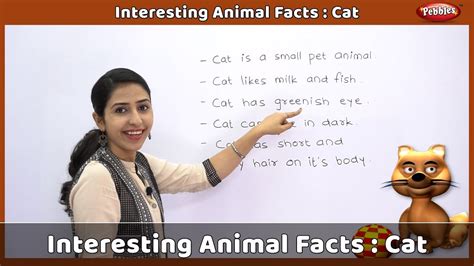Did you know that they were kept originally to chase away mice and rats these are just some of the educational and interesting cat facts for kids and adults. Interesting Animal Facts : Cat | Cat Essay English | Cat ...