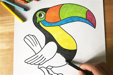 Their huge bills make them something special to look at. Toucan | Free Printable Templates & Coloring Pages ...