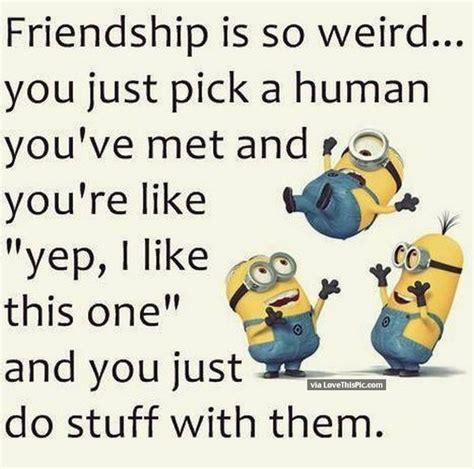 Funny Minion Quotes On Friends Funny Minion Quotes Of The Week True