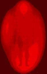 Relates to heart and lungs. How to Read Auras - What is the Meaning of Each Color ...