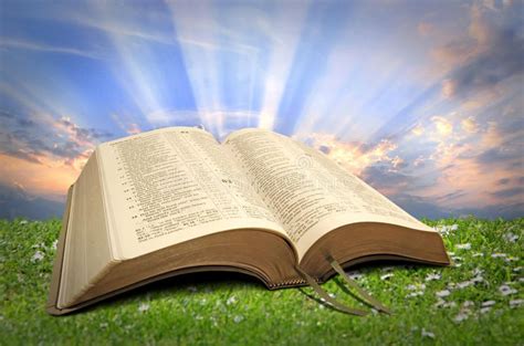 Divine Light An Open Bible On A Bed Of Grass