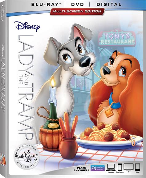 Lady And The Tramp Dvd Savvy Mama Lifestyle