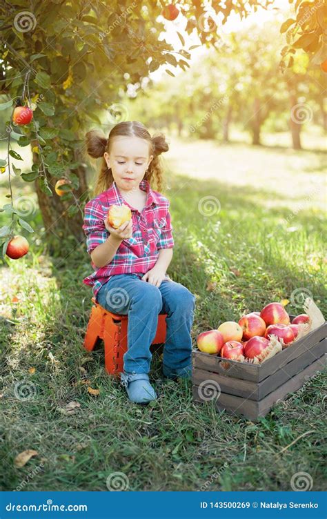 Girl With Apple In The Apple Orchard Stock Image Image Of Hand Diet