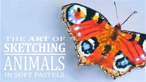 How To Draw A Butterfly With Soft Pastels Step By Step