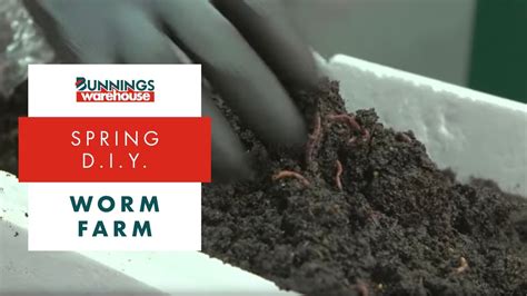 How To Make A Worm Farm Diy At Bunnings Herbal Plant Power