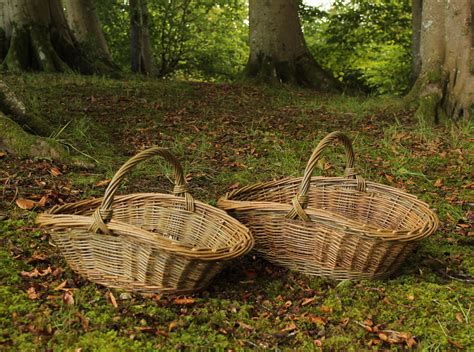 Gardening Basket Garden Basket Basket Green And Brown