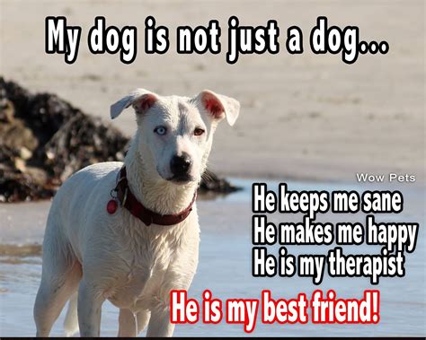 My Dog Is Not Just A Dog He Is My Best Friend Dog Best