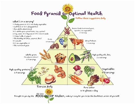 Behold, the rabbit food pyramid! Isla Vista Food Co-op: Co-op Nutrition Education