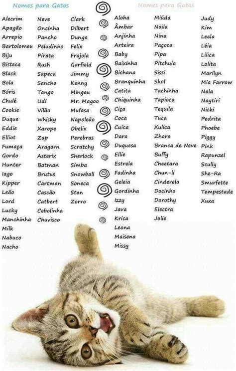 Unique Cute Cat Names For Girl Kittens 81021 Nama Untuk Kucing Comel