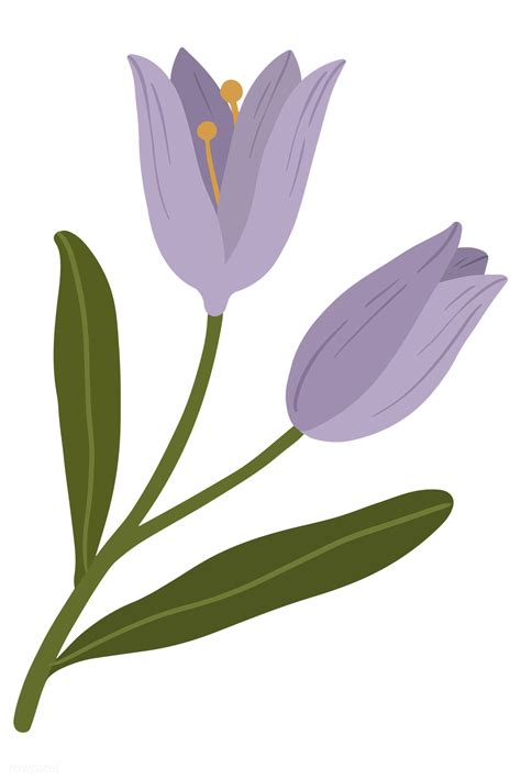 Crocus Purple Flower Transparent Image Png Play