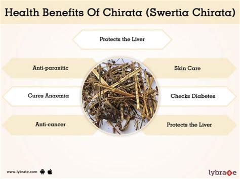 Chirata Swertia Chirata Benefits And Its Side Effects Lybrate