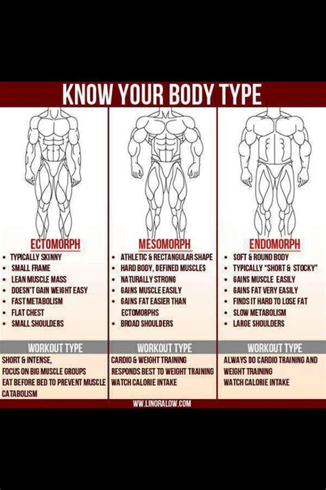 Know Your Body Type Men Fitness Pinterest