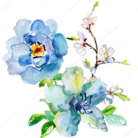 Watercolor Beautiful Flowers Stock Photo By ©olies 79046482