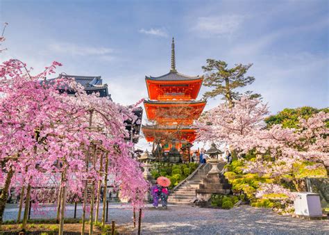 23 Astounding Places To Visit In Japan If You Could Visit Just One