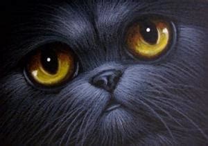 Check out our cat with big eyes selection for the very best in unique or custom, handmade pieces from our shops. BLACK PERSIAN CAT BIG EYES 2 - by Cyra R. Cancel from Gallery