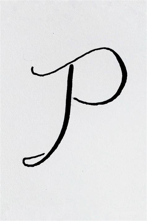 Letter P And Parrot A Style Study By Calligraphy Styles Lettering