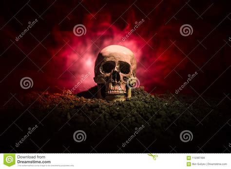 Frontview Of Human Skull Open Mouth On Dark Toned Foggy Background