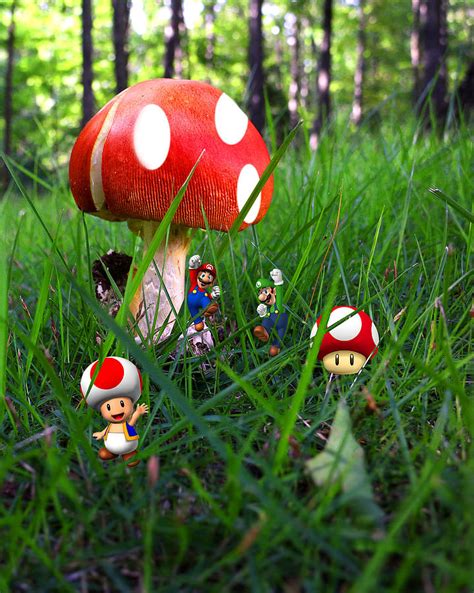 Super Mario Bros Mushroom Photograph By Joe Myeress Fine Art America