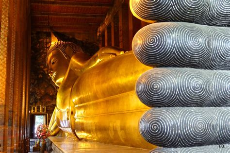 Traditional medicine and traditional thai massage school. Wat Pho: The Temple of the Reclining Buddha - Go To Thailand