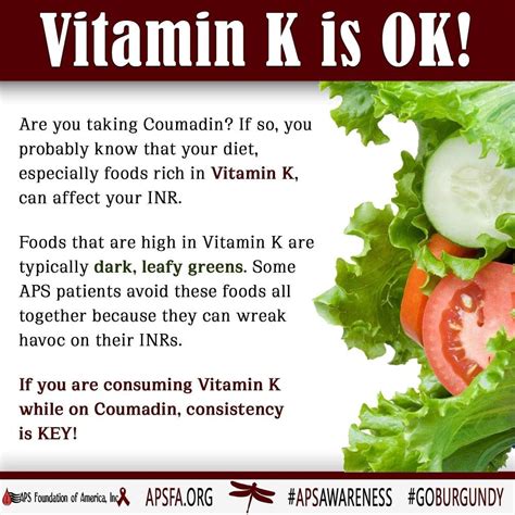 Foods High In Vitamin K Warfarin Piercing Webzine Ajax