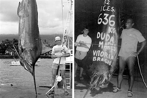 World Record Blue Marlin Why There Are Two And Why Theyll Never Be