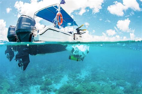 Alphonse Island Seychelles Scuba Diving Report