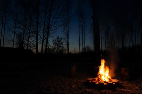 Camp Fire Night Stock Photos Pictures And Royalty Free Images Istock