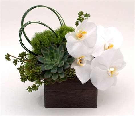 White Phalenopsis Orchid And Succulents In A Modern Wooden Box Modern