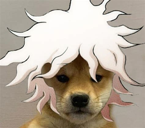 Данганронпа˵ ͡° ͜ʖ ͡°˵ Cat Icon Dog Icon Anime Fandom