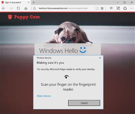 This feature was available on windows live photo gallery. Windows Hello, a new feature in Windows 10, allows you to ...