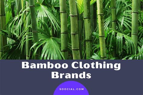 Bamboo Clothing Brands To Go Green And Look Good Soocial