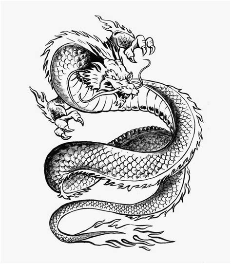 Tattoos Book 2510 Free Printable Tattoo Stencils Dragon Tattoo Stencils
