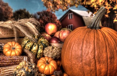 Fall Harvest Photo