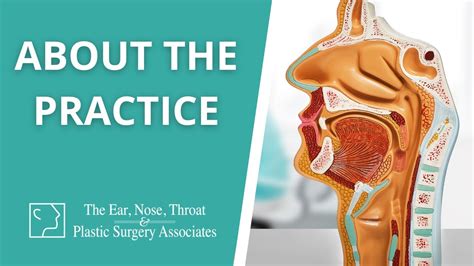 About The Practice The Ear Nose Throat And Plastic Surgery Associates
